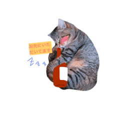 [LINEスタンプ] 我が家の二匹の猫