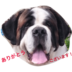 [LINEスタンプ] 日常的に使えるセント