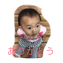 [LINEスタンプ] さくらのすたんぷ 