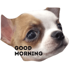 [LINEスタンプ] 我が家の。。。 fetchpriority=high