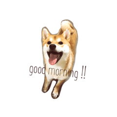 [LINEスタンプ] りく スタンプ！！！