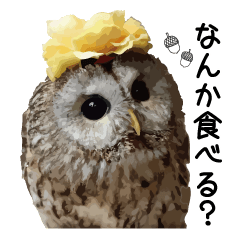 [LINEスタンプ] フクロウのお庭 ゆるフワ可愛いふくろうズ 