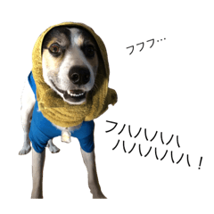 [LINEスタンプ] 変な犬 くぅ2