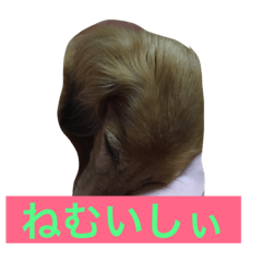 [LINEスタンプ] nemuishi fetchpriority=high