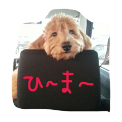 [LINEスタンプ] オリーブオリーブオリーブ
