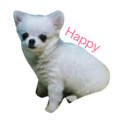 [LINEスタンプ] みるくは永遠に家族です