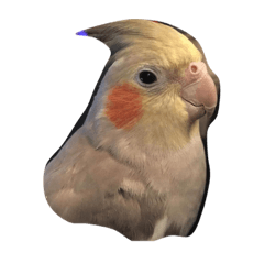 [LINEスタンプ] Oph Pets