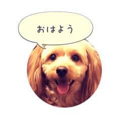 [LINEスタンプ] にいなのすけ