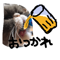 [LINEスタンプ] 最強の猫たち