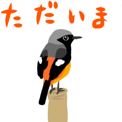 [LINEスタンプ] 動く日本の野鳥 秋冬の画像（メイン）