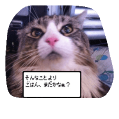 [LINEスタンプ] syuretan