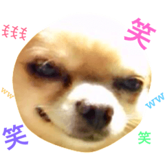 [LINEスタンプ] Love.pet 4