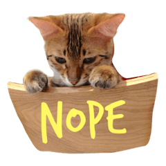 [LINEスタンプ] 猫が言う言葉