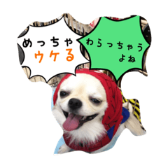 [LINEスタンプ] ロンちゃんの日常