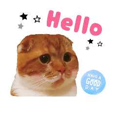 [LINEスタンプ] スコティッシュはるまる第7弾Happy Life編