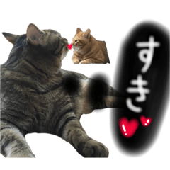 [LINEスタンプ] しましまブラザーズ