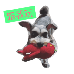 [LINEスタンプ] Schnauzer kuso
