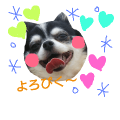 [LINEスタンプ] my doggy and cats