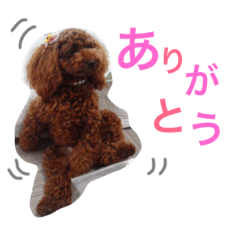 [LINEスタンプ] moco family