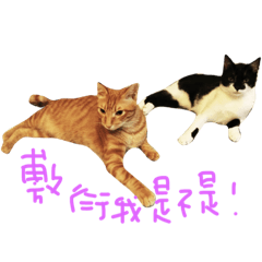 [LINEスタンプ] Rice＆Bear