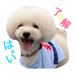 [LINEスタンプ] happy Smileday