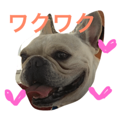 [LINEスタンプ] umelife