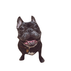 [LINEスタンプ] シンプルむった