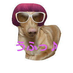 [LINEスタンプ] soifu1