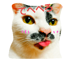 [LINEスタンプ] ふわわとわた