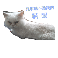 [LINEスタンプ] Maomaojian life