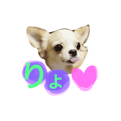 [LINEスタンプ] くーまろぷー