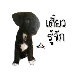 [LINEスタンプ] Dog have feeling