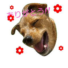 [LINEスタンプ] kaijukenta
