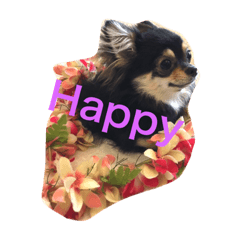 [LINEスタンプ] きゅろろの日常♬