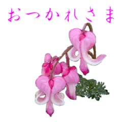 [LINEスタンプ] 花を添えて 3