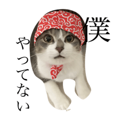 [LINEスタンプ] ねこねこわお