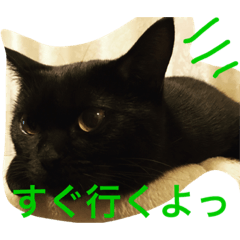 [LINEスタンプ] black cat "choco''2