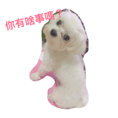 [LINEスタンプ] Jiu Jiu so cute