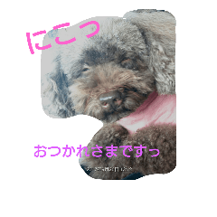 [LINEスタンプ] アルちゃんのきもち