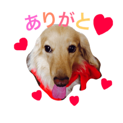 [LINEスタンプ] エルくんちゃん2