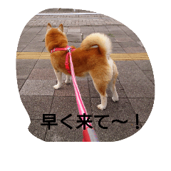 [LINEスタンプ] 柴犬ムック2
