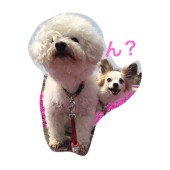[LINEスタンプ] ココとくるみ