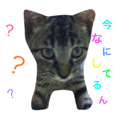 [LINEスタンプ] Love.pet