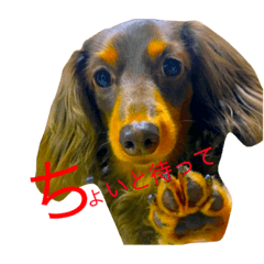 [LINEスタンプ] momiji_yy