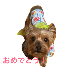[LINEスタンプ] わんこスペシャル