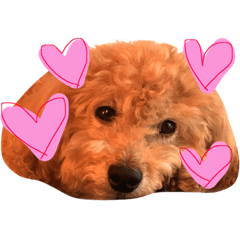 [LINEスタンプ] coco_na