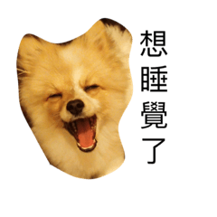 [LINEスタンプ] The sweet life