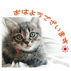 [LINEスタンプ] アース スタンプ