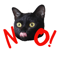 [LINEスタンプ] 黒猫のギラン