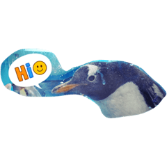 [LINEスタンプ] ペンギンの写真を使ったスタンプ